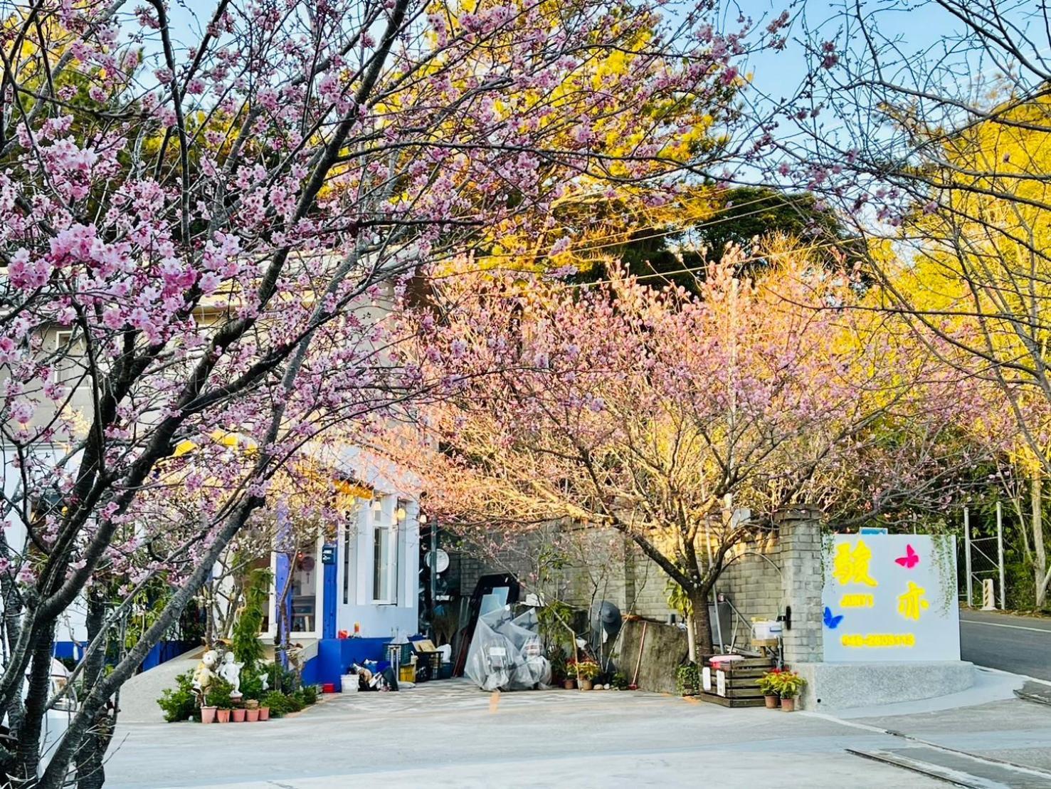Junyi Landscape Villa Renai Exterior photo